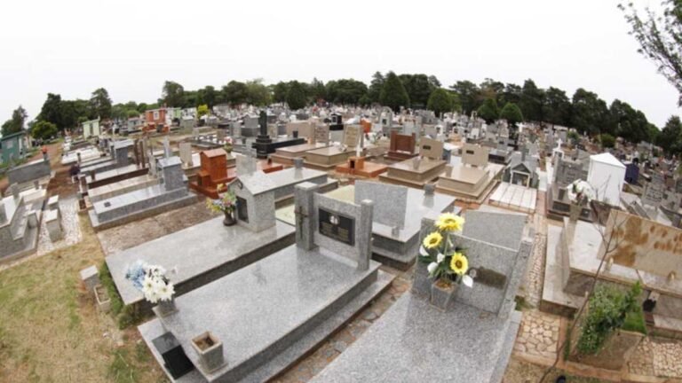 Feriado de Finados altera funcionamento dos serviços públicos em MS