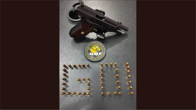 Em um único dia seis são presos por; furto, receptação, evasão de custódia legal e disparo de arma