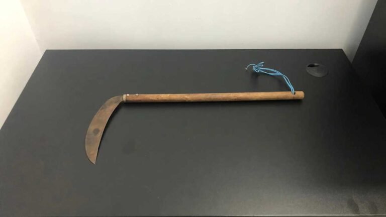 Idosa de 71 anos foge de violência domestica e PM prende companheiro de 35 anos