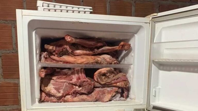 Polícia Civil identifica homem envolvido na receptação de carne em Aral Moreira