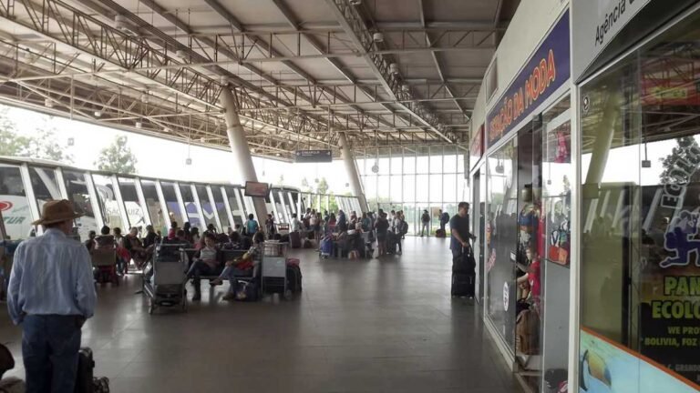 Agência de Regulação orienta passageiros sobre transporte de pets em ônibus intermunicipal