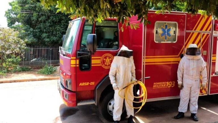 Ataques de abelhas podem ser evitados com alguns cuidados, alerta Corpo de Bombeiros