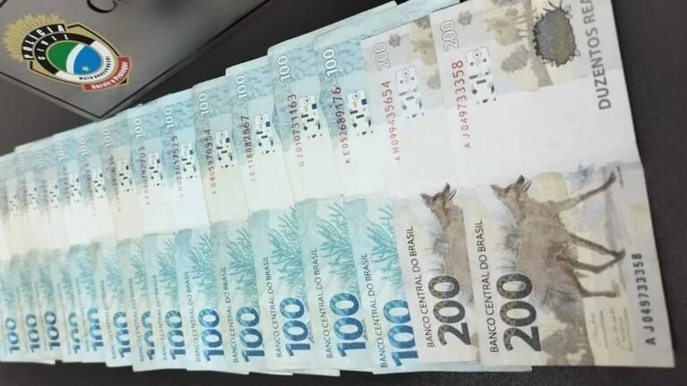 Homem de 65 anos furta carteira de idosa de 70 anos e acaba preso pela Polícia Civil