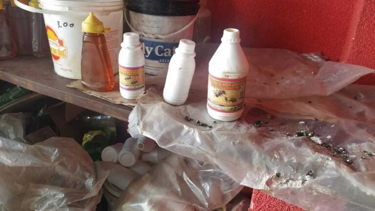 Polícia Civil desencadeia operação “Dextrina” em Dourados