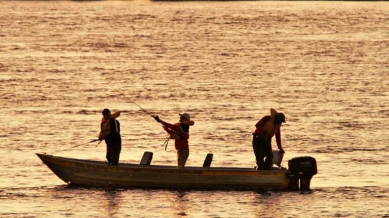 Aberta temporada de pesca, Imasul esclarece regras vigentes em MS e ensina como emitir a Carteira Digital