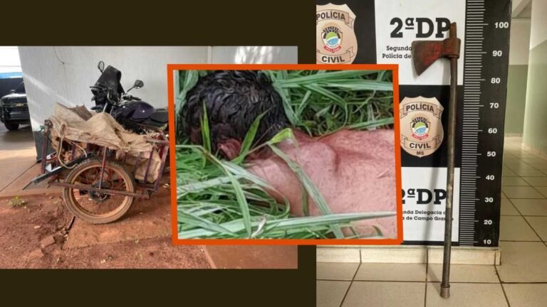 Polícia Civil elucida homicídio onde jovem foi morto a golpes de machado