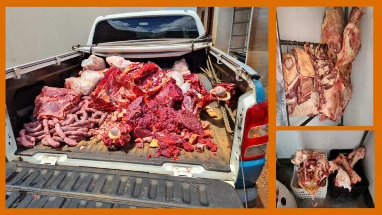 Policia Civil e Iagro apreendem carnes clandestinas e impróprios para consumo