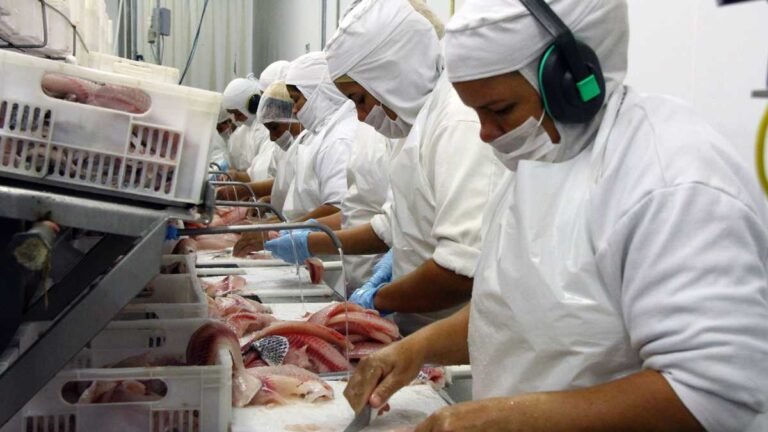 Segundo maior exportador de tilápias, MS foca na piscicultura para ampliar rol de proteínas animais