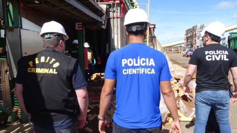 Polícia Civil incinera mais de 800 kg de maconha em Três Lagoas