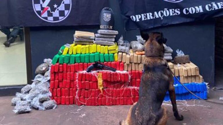 Dioclécio Artuzi II – Dois adultos e uma adolescente foram presos com quase 240 quilos de drogas 