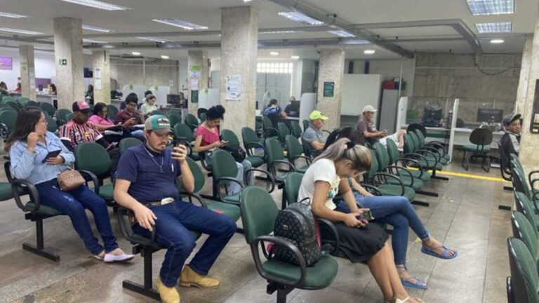 Curtume da Capital abre seleção para preencher 30 vagas de auxiliar de produção sem experiência