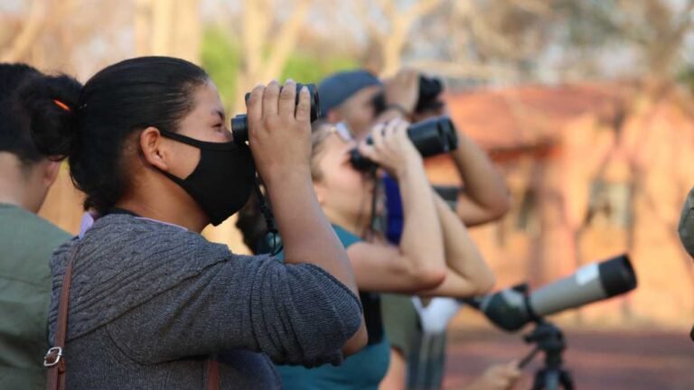 Destino de observação de aves, MS está no maior evento do segmento na América Latina