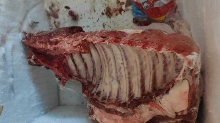 1100 kg de carne imprópria para consumo e 1120 ovos são apreendidos pela Policia Civil durante Fiscalização em Mercado