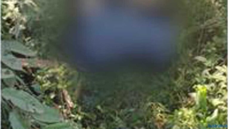 Corpo encontrado esquartejado dentro de mala era de homem de 64 anos e mulher é presa pelo crime