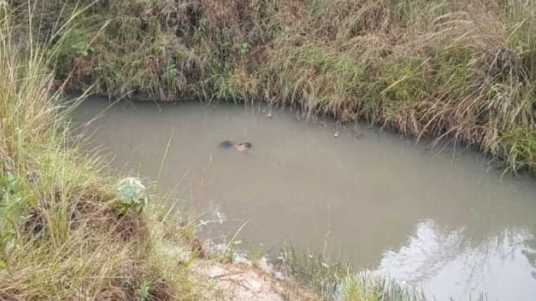 Jovem de 18 anos com problemas mentais é encontrado morto em córrego