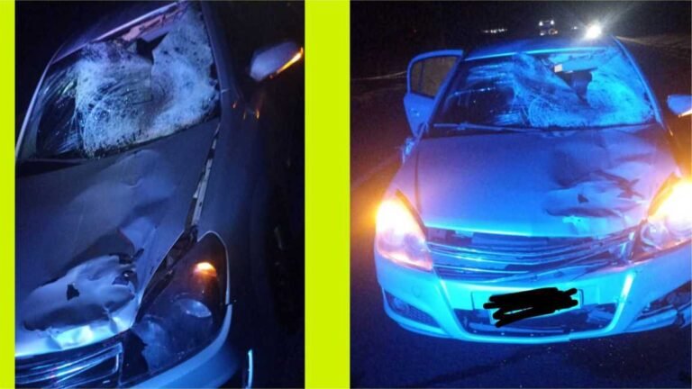 Idoso tem as duas pernas arrancadas em atropelamento na BR-163 em Rio Brilhante