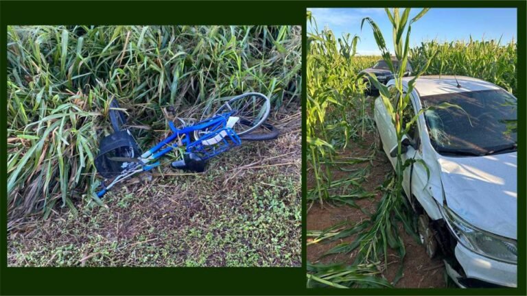 Condutor envolvido em acidente com vítima fatal na BR 163 é indiciado por homicídio culposo