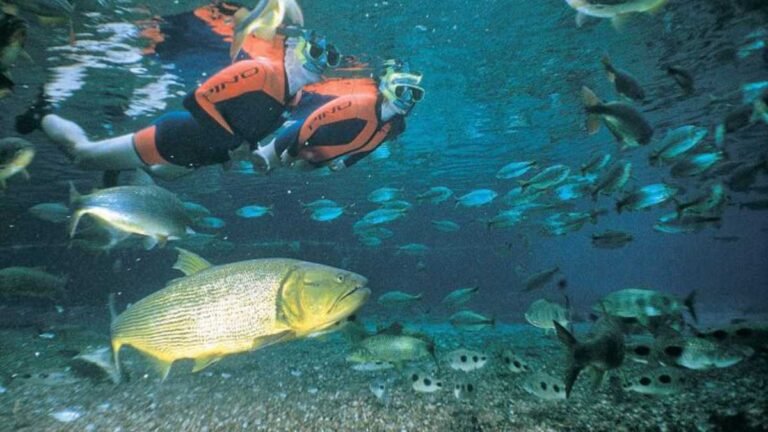 Turismo de MS faz capacitação sobre principais destinos na Convenção Anual BWT