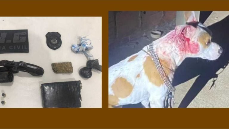 Polícia Civil elucida homicídio onde Jovem é morto e cachorro é ferido a tiros