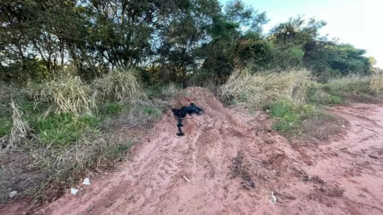 Mulher carbonizada é identificada pela Policia Civil