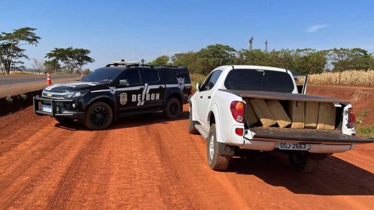 Polícia Civil apreende 395 kg de maconha em Dourados