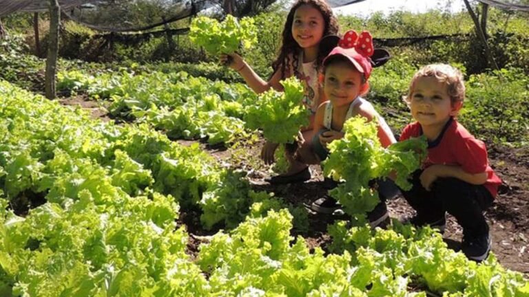 Projeto de produção agroecológica leva agricultores familiares à universidade para plantar ciência