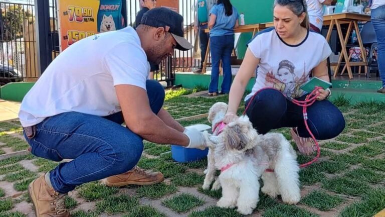Campanha de Vacinação Antirrábica começa nesta segunda-feira