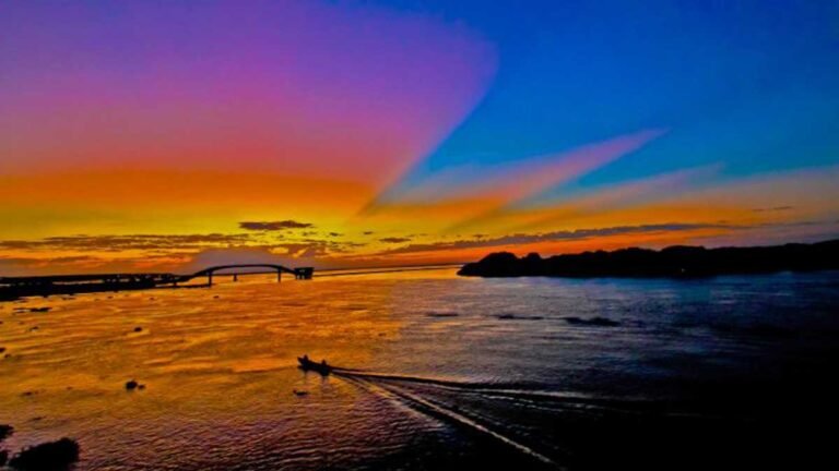 Lei do Pantanal é aguardada com expectativa e será elaborada com participação social