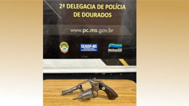 Polícia Civil prende em flagrante homem que comercializava armas em Dourados