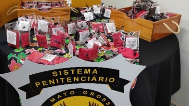 Produção de bioabsorventes em presídio é alternativa sustentável para dignidade menstrual a mulheres