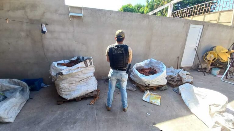 Durante operação Polícia Civil apreende duas toneladas de produtos com indícios de origem criminosa