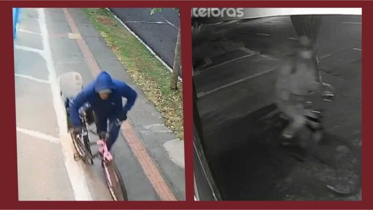 Vídeos – Câmeras registram duas tentativas de furtos, sendo alvos  lojas e residência