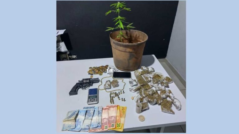 Maconha pé de maconha crack munição e arma, Homem é preso pela Policia Civil
