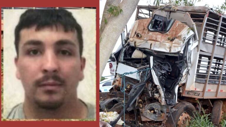 Motorista de 27 anos colide em arvore na BR-376 e morre na hora