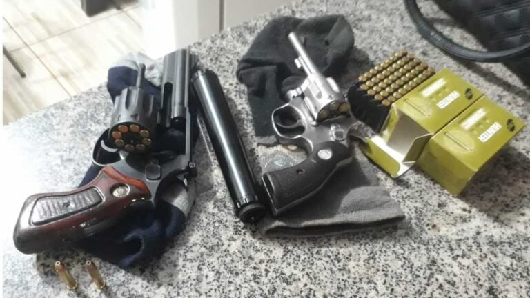 Dois são presos por tráfico de drogas, posse ilegal de arma de fogo, receptação qualificada e crime ambiental