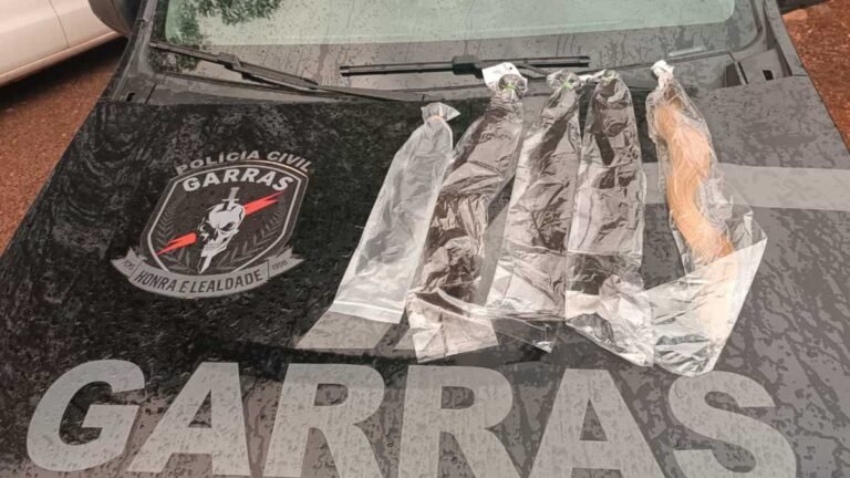 Video – Polícia Civil apreende carga de cabelo humano em Ponta Porã