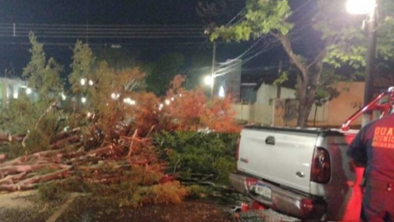 Após temporal, Agesul disponibiliza equipamentos para limpeza urbana de Dourados