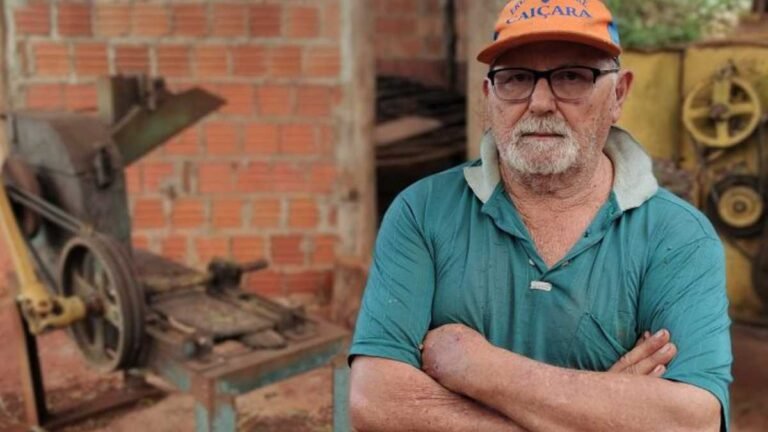 Agroindústria de erva-mate é a “galinha dos ovos de ouro” de agricultor familiar