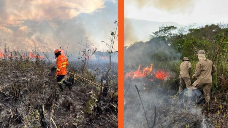 Bombeiros controlam incêndio florestal em Bonito e continuam em monitoramento na região