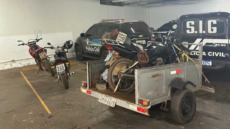 Polícia Civil identifica autores de nove furtos em Ivinhema