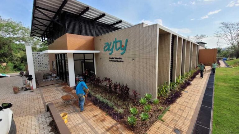 Hospital veterinário específico para animais silvestres é inaugurado hoje