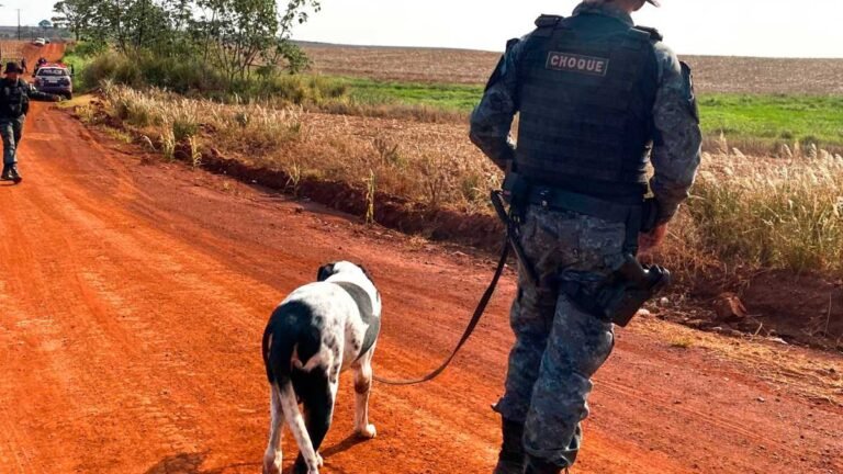 Jaguapiru – Cão de faro da PMMS realiza buscas por pessoa desaparecida na Aldeia