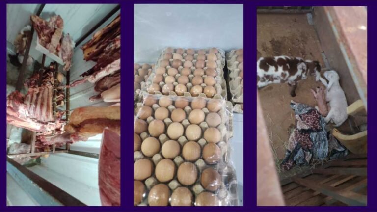 Polícia Civil apreende mais de 3 mil kg de carne imprópria para consumo