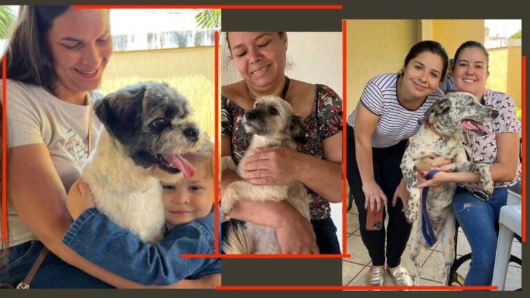 Atenção – Inscrições para o Programa de Castração de Cães e Gatos reabrem nesta segunda-feira