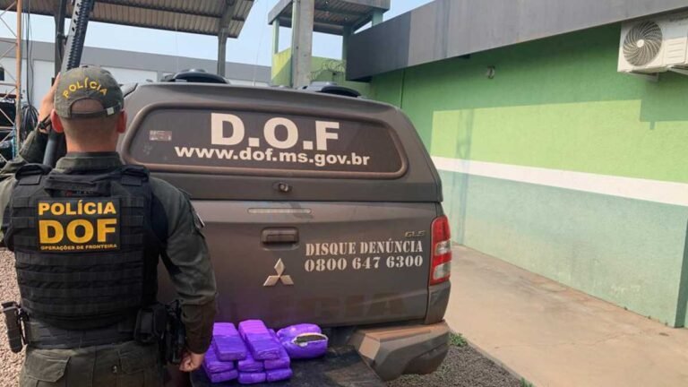 DOF apreende maconha e haxixe que seriam entregues em São Paulo
