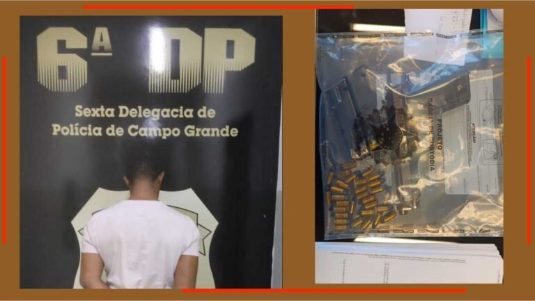 Polícia Civil apreende armas e munições e cumpre mandado de prisão 