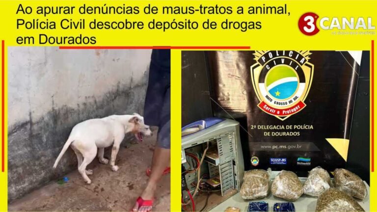 Vídeo – Vila Caiman – Ao apurar denúncias de maus-tratos, depósito de drogas é econtrado em Dourados