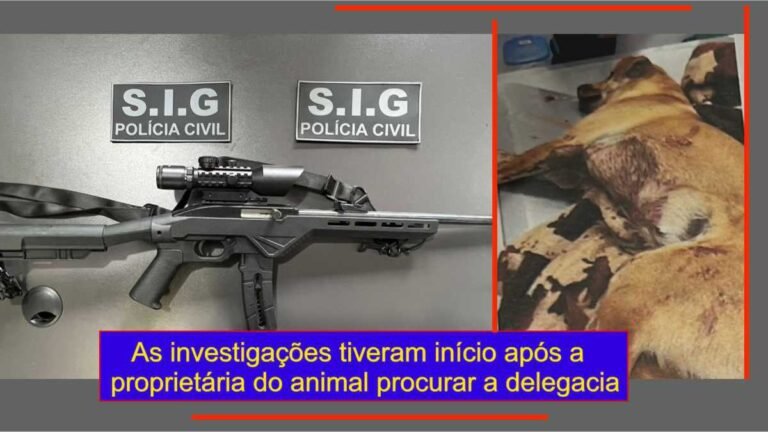 Polícia Civil apreende arma de fogo utilizada para atirar em um cachorro