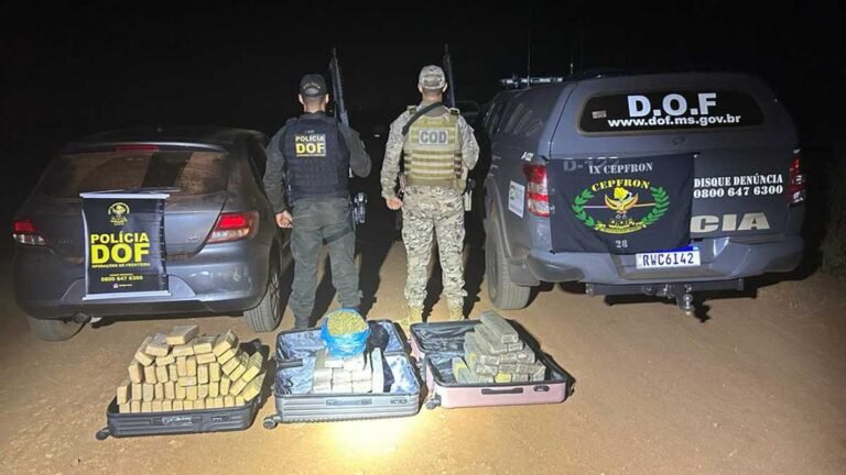 Drogas avaliadas em aproximadamente R$ 250 mil é apreendida pelo DOF