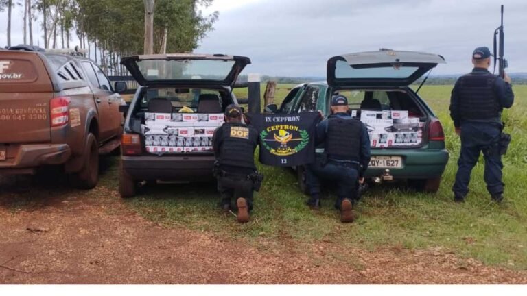 Vídeo – Dois veículos com cigarros ilegais são apreendidos pelo DOF na MS-379